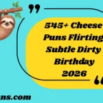 Cheese Puns Flirting Subtle Dirty Birthday