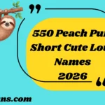 Peach Puns Short Cute Love Names