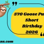 Goose Puns Short Birthday