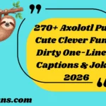 Axolotl Puns Cute Clever Funny Dirty One-Liners Captions & Jokes
