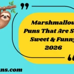 Marshmallow Puns That Are Soft Sweet & Funny