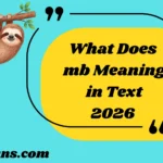 What Does mb Meaning in Text