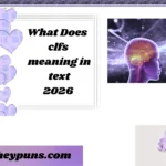 What Does clfs meaning in text ?