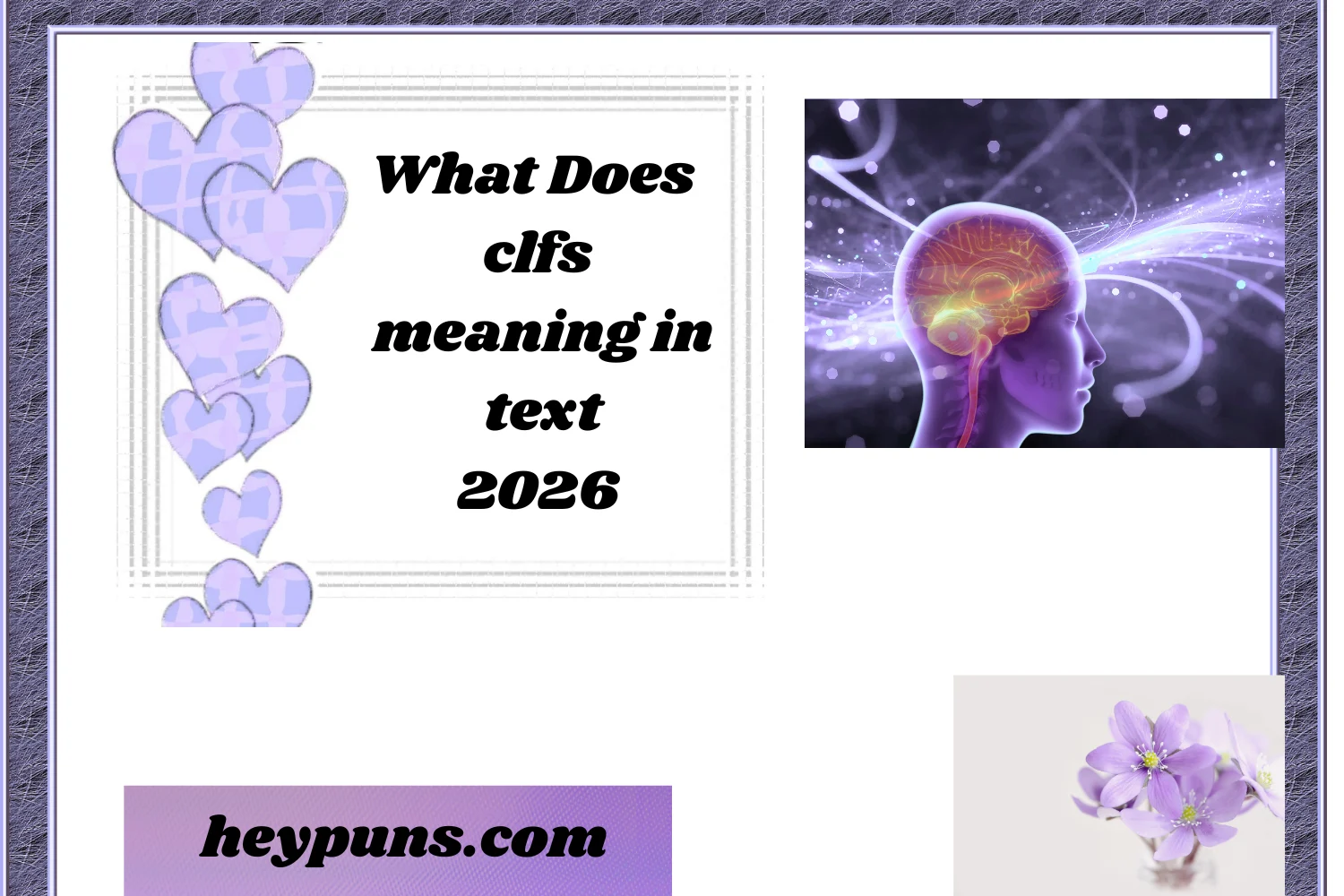 What Does clfs meaning in text ?