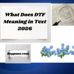 What Does DTF Meaning in Text